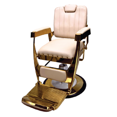 Electric Salon Chairs